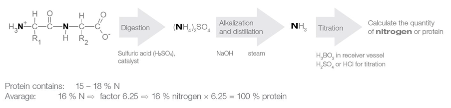 the kjeldahl method Eexplained